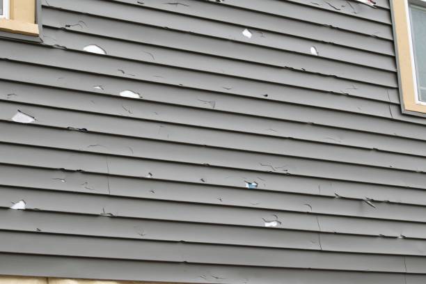 Best Fiber Cement Siding Installation  in Lawton, IA